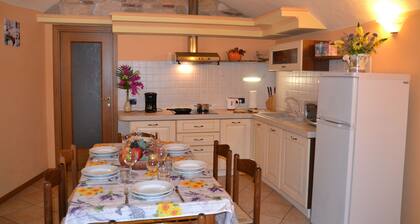 Schoener vue sur le lac, grande terrasse, animaux domestiques admis, jardin et parking