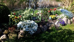 A garden with various flowers and plants, including tulips and other colorful blooms, arranged around rocks and in a natural setting. - Only 250m to the beach - for 4 pers., 70sqm, large balcony. South-facing garden/terrace, conservatory (Schönberger Strand)