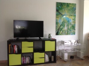 TV, fireplace, DVD player, toys