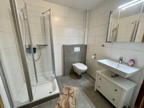 Shower, hair dryer, toilet paper