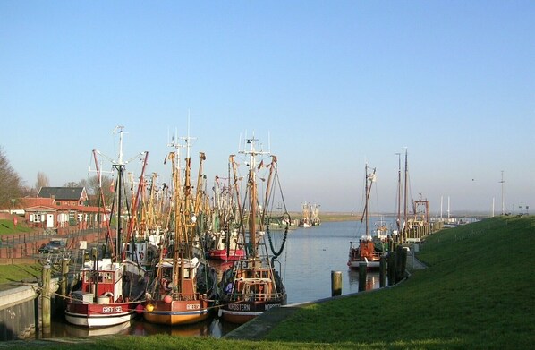 Ein Hafen mit mehreren Fischerbooten, die am Ufer liegen, eine grüne Böschung und ein Gebäude mit rotem Dach im Hintergrund.