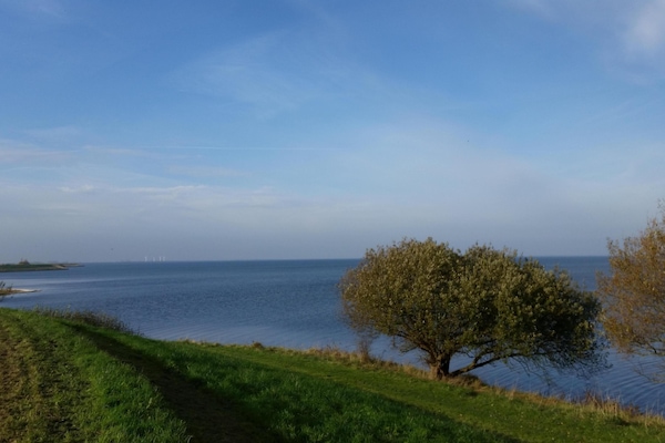 Grevelingenmeer vor der Haustür