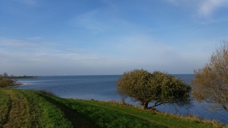 A grassy path leading to a body of water with a tree and distant wind turbines.