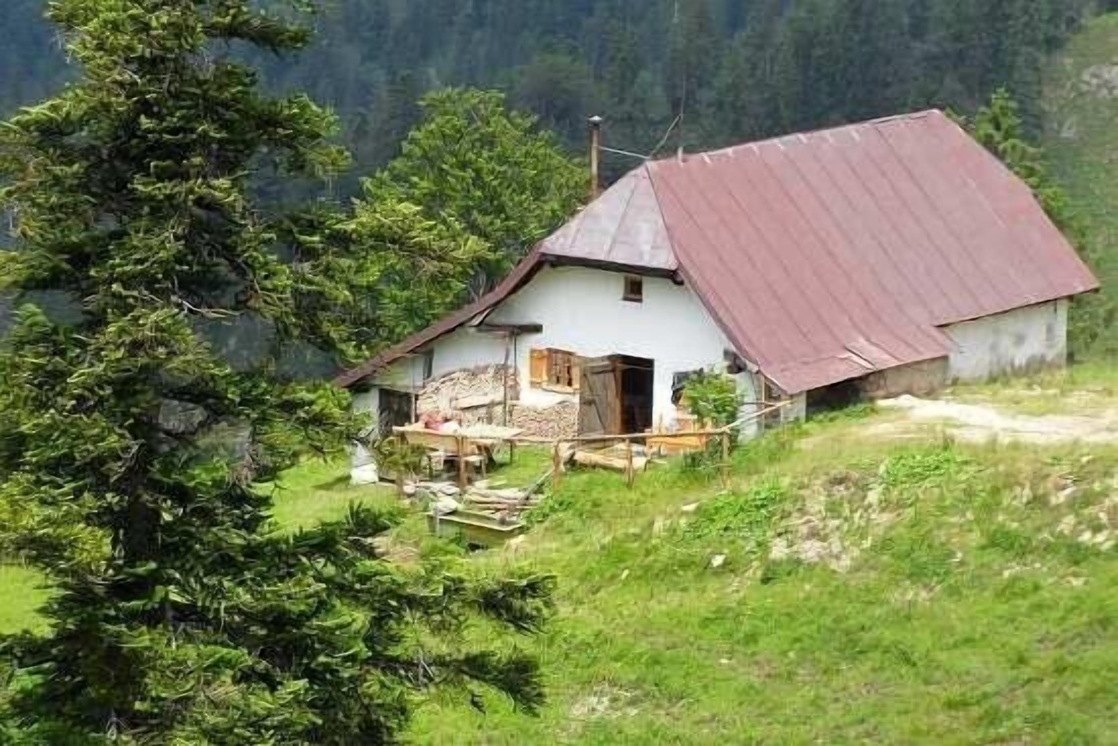 Gopper-Alm