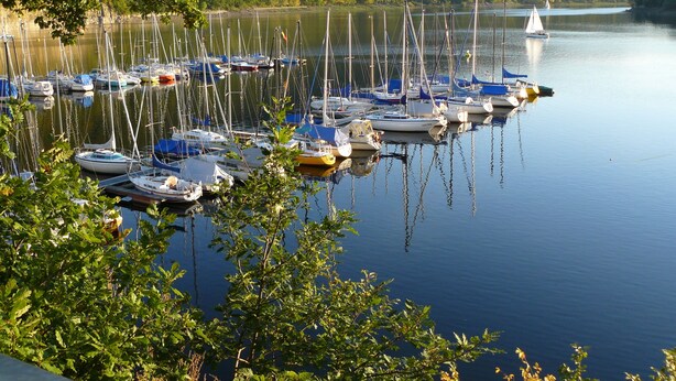 Un port de plaisance où sont amarrés de nombreux bateaux, entouré d’une végétation luxuriante et avec des collines en arrière-plan.