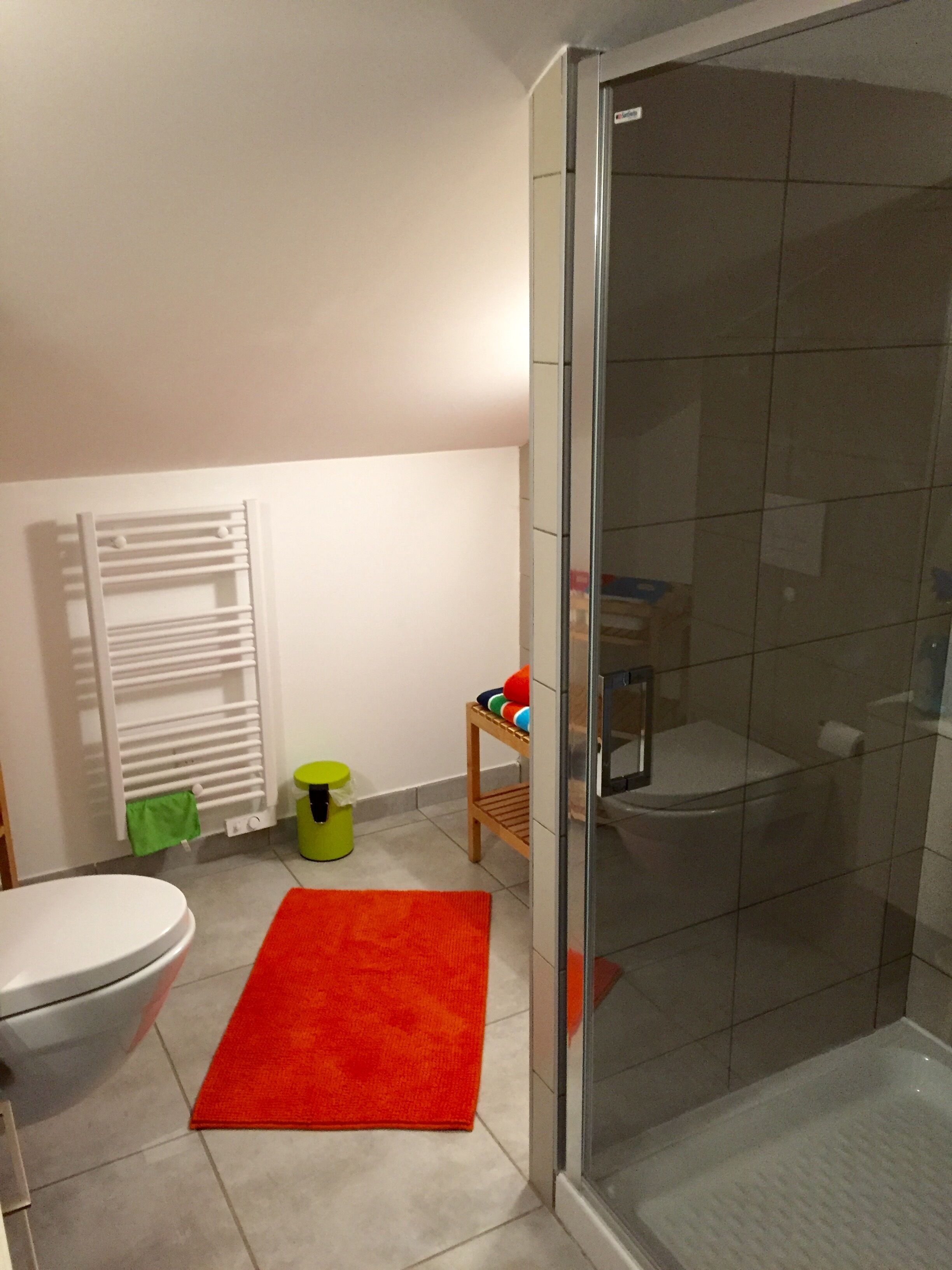 A bathroom with a glass shower enclosure, a white toilet, a red rug, a green trash bin, and a small wooden shelf with toys.
