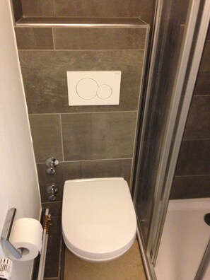 A compact bathroom with a white toilet, a shower area, and a wall-mounted toilet paper dispenser.