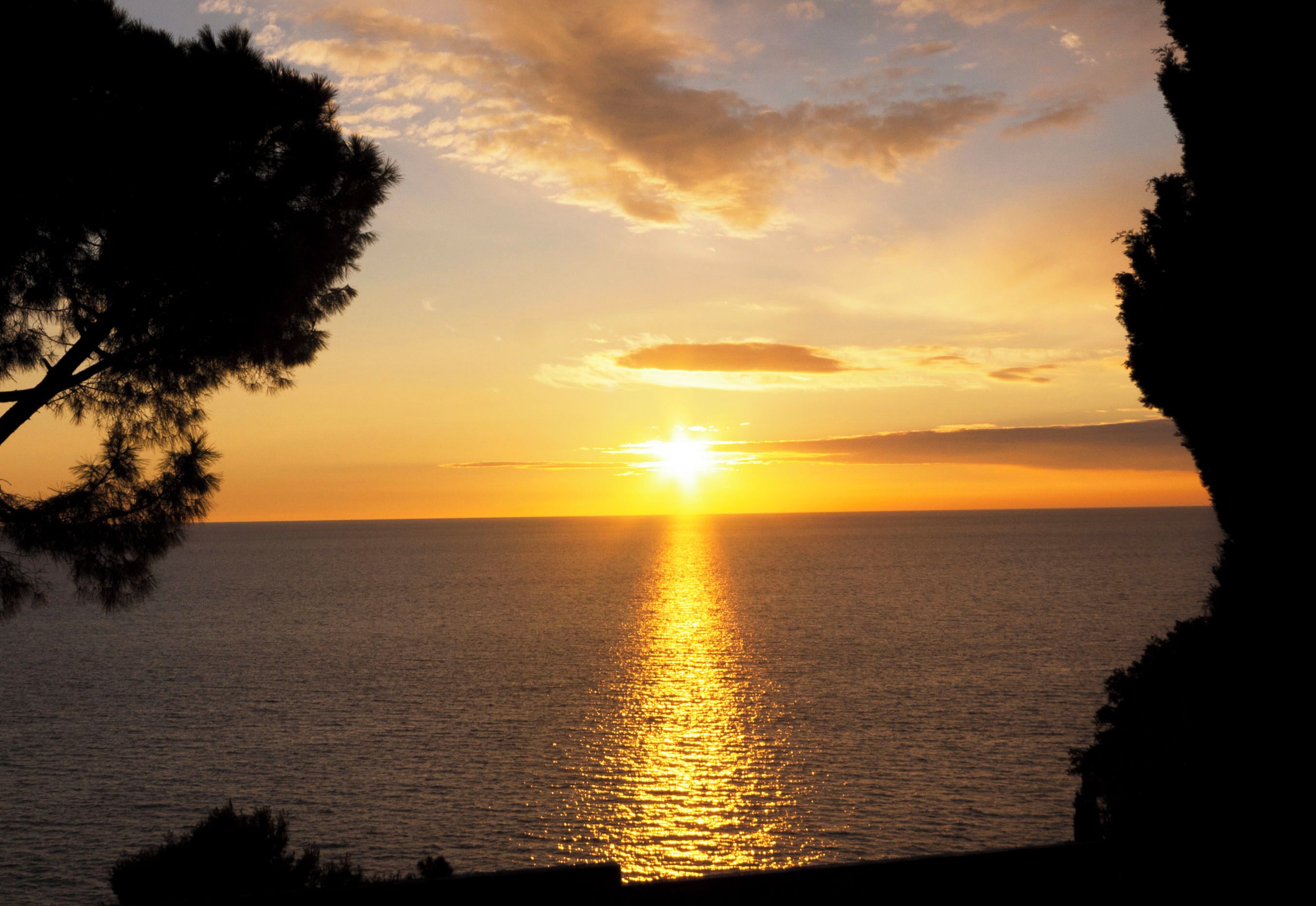 Un coucher de soleil sur l’océan, avec les silhouettes d’arbres encadrant le paysage.