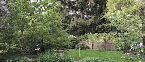 Stroll through the serene garden, surrounded by lush plants and trees, and a brick wall in the background.