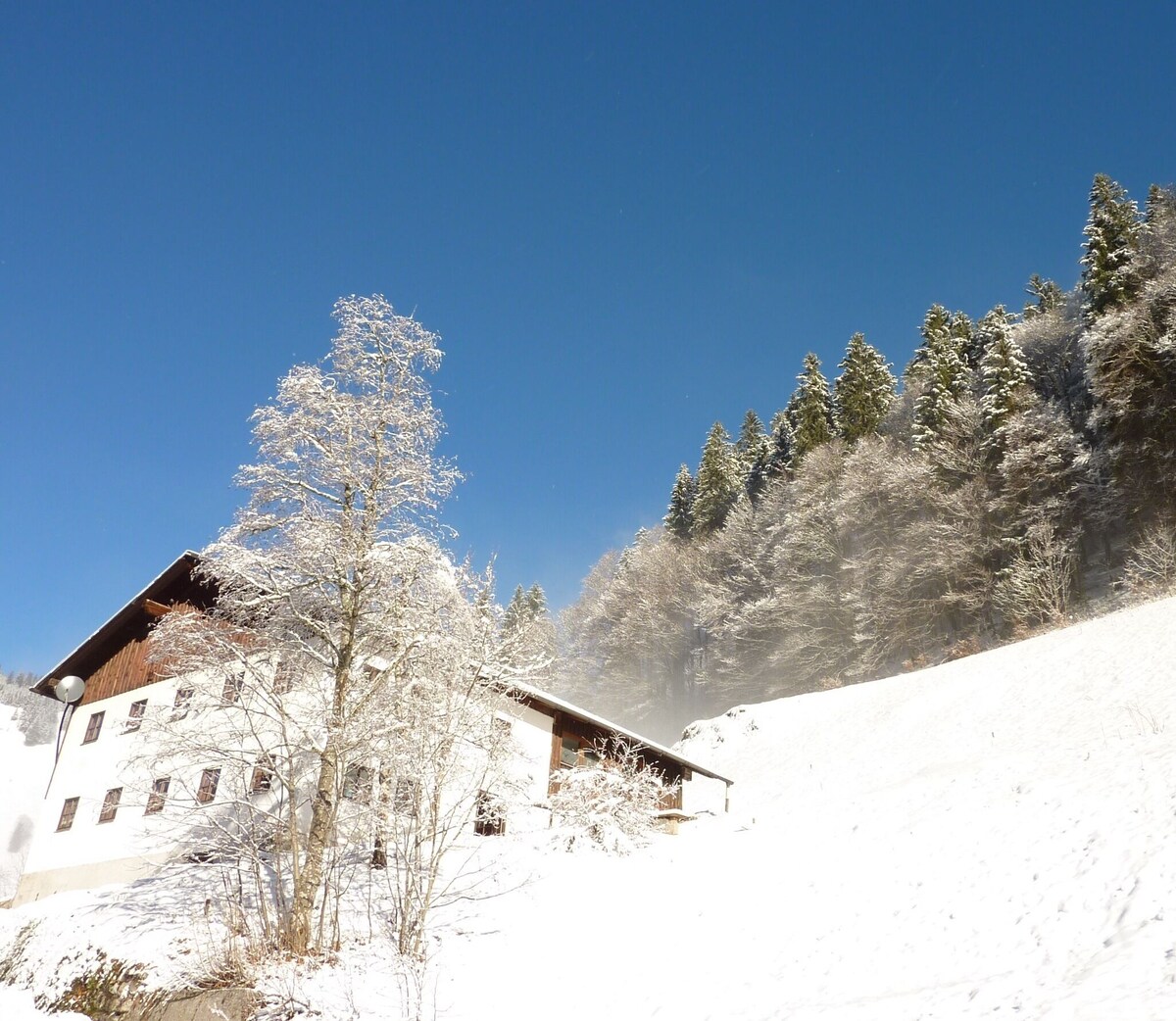 Image de profil de l’hôte