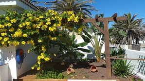 A garden with yellow flowering plants, a wooden pergola, and a white wall with a blue hose. - A stone's throw from the Atlantic Ocean - 50 meters to the sea (Los Silos)