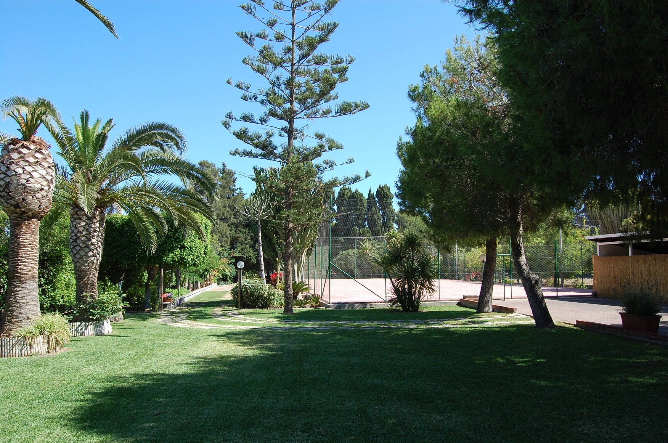 Un jardín bien cuidado con varios árboles, cielo despejado y un área cercada.