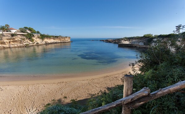 Beach nearby, sun-loungers