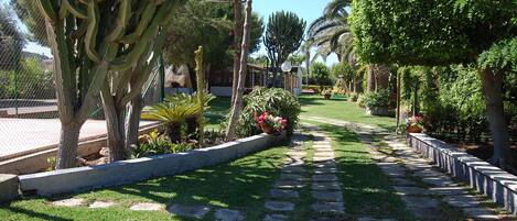 A garden pathway with a variety of plants and trees, including a large cactus and neatly trimmed hedges.
