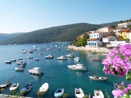 Villa Istra-Pavincica