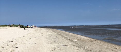 Una playa cerca