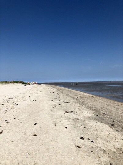 FH Meeresleuchten, 120 sqm, fireplace, sauna, coffee machine, dogs allowed.