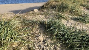 A beach with sand dunes and grass.