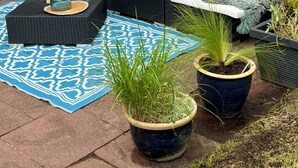 A patio area with a seating arrangement, a potted plant, and a decorative fence.