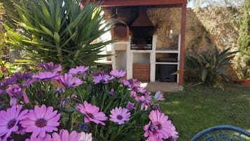 Área da propriedade