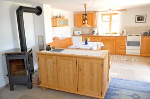 Kühlschrank, Ofen, Herdplatte, Geschirrspüler