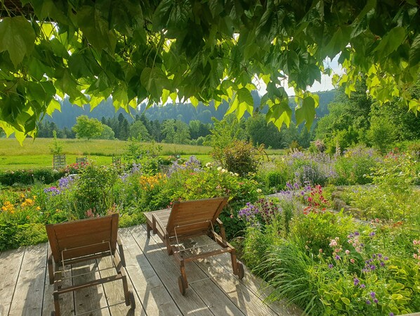 Terrace/patio - Apartment in a single farm location overlooking meadows, forests and nature. (Maierhöfen)