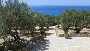 Ein Pfad führt zu einem schönen Ausblick auf das Meer, umgeben von Olivenbäumen und Topfpflanzen.