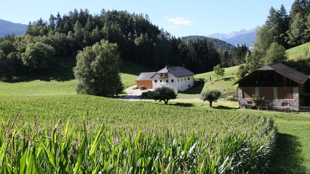 A rural landscape with a farmhouse and barns, surrounded by fields and forested hills. - New and fully furnished apartment! Calm and relaxation guaranteed! (St. Lorenzen)