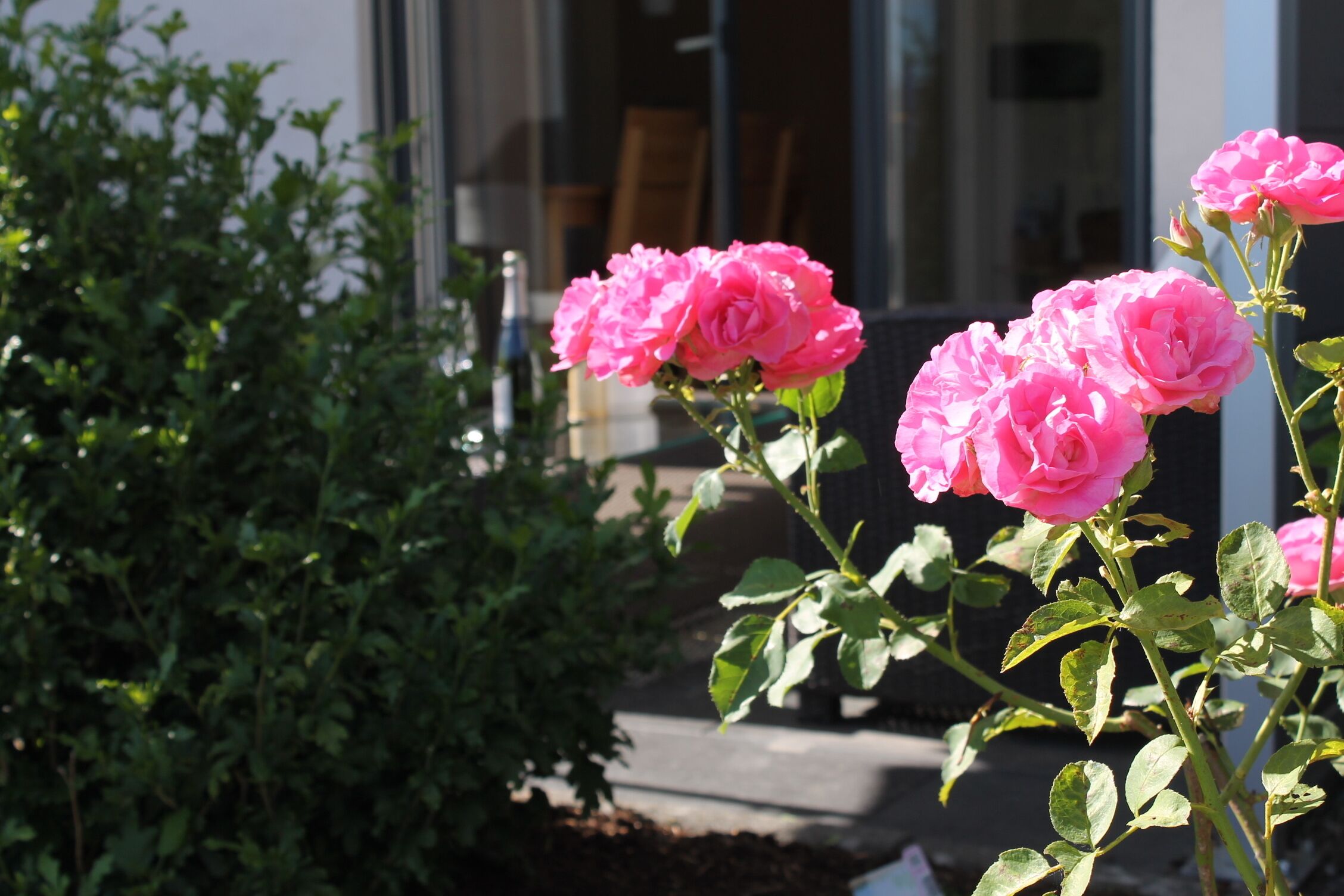 Feel at home here in Trierweiler