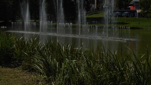 A park with a fountain, grassy areas, and a building in the background.