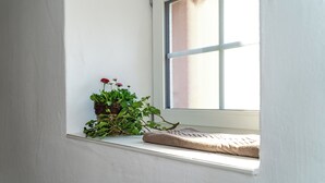 A window with a plant and a cushion.