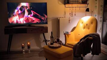 TV, video games, DVD player, books