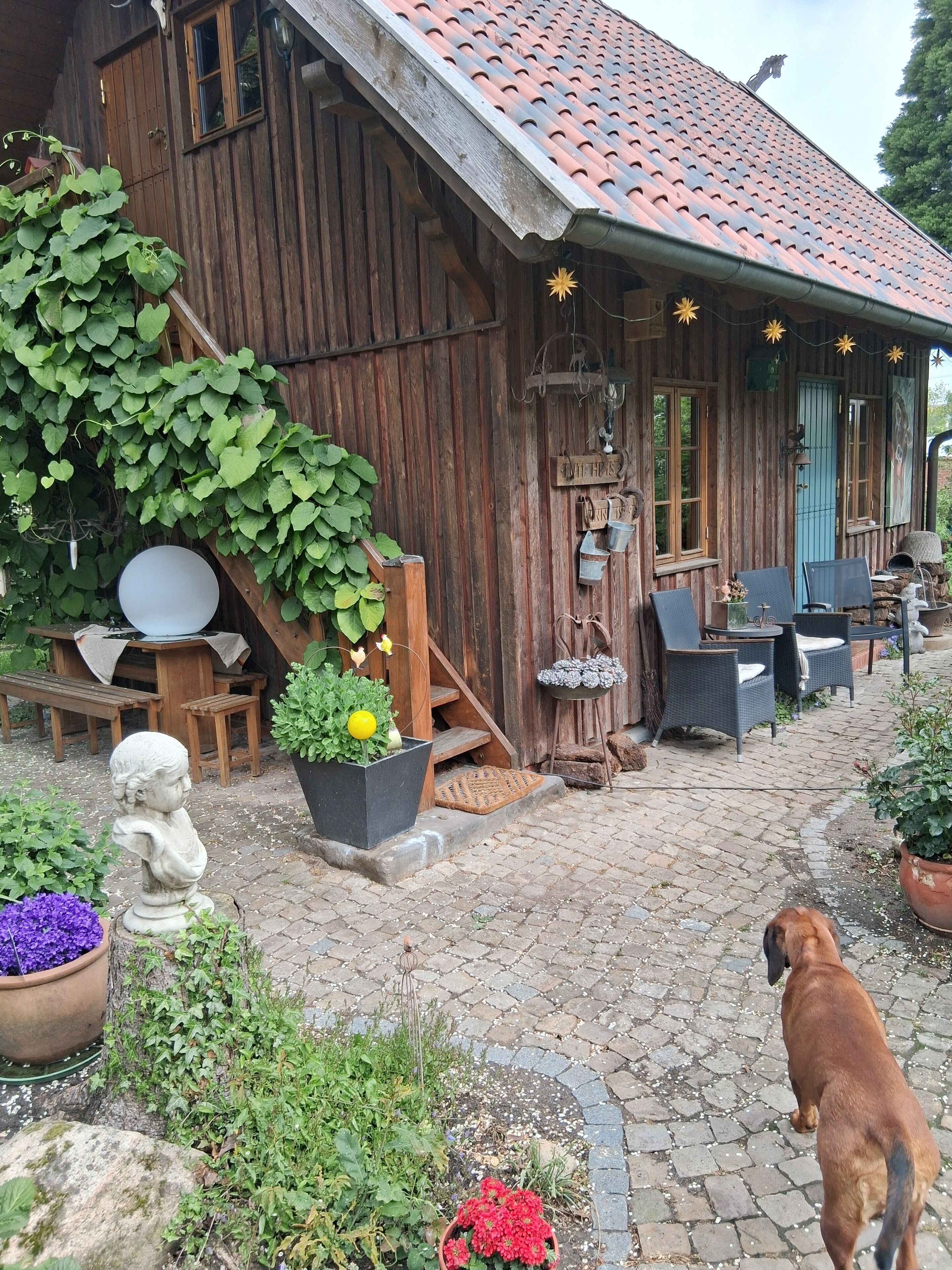 Ein rustikales Holzhaus mit Ziegeldach, Außenbestuhlung und diversen Pflanzgefäßen.