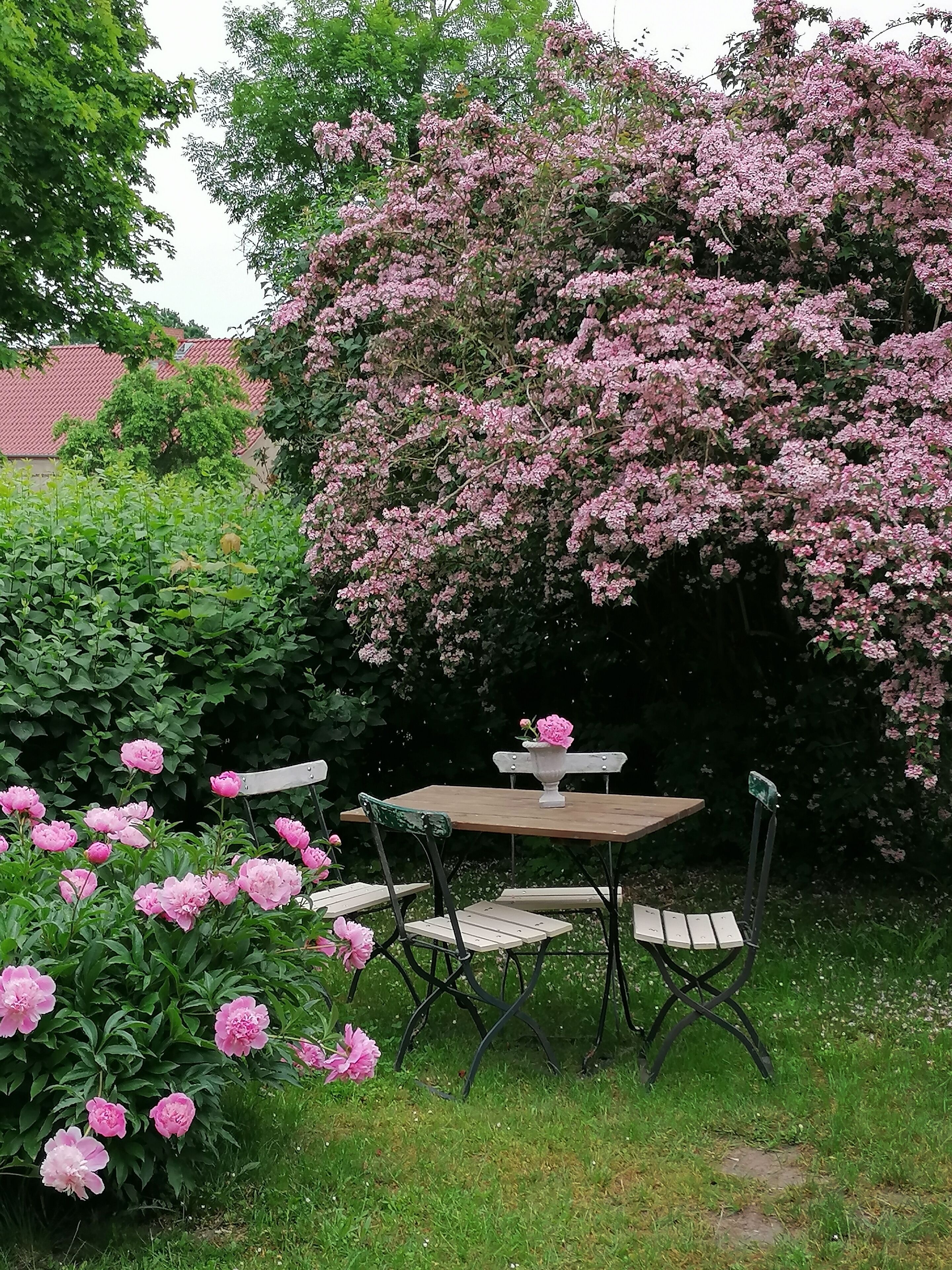 Speisen im Freien