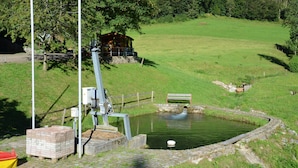 A small pond with a wooden bridge, a brick structure, and a wooden cabin in a grassy area. - Freiburg, Southern Black Forest, Schauinsland Hofsgrund, farm houses, (Oberried)