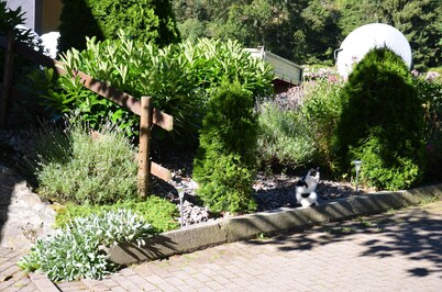 Friburgo, Bosque Negro del Sur, Schauinsland Hofsgrund, casas de campo,