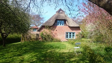 Udendørsområde