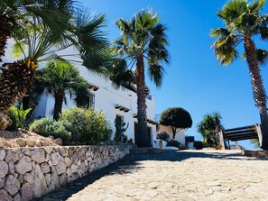 صورة غير مصنفة، 4 من 46، زرّ