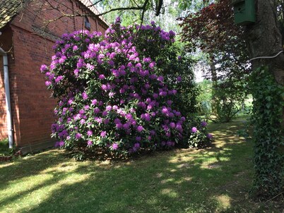 You are looking for peace and relaxation in the completely renovated former farmhouse