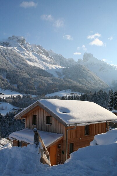 family-friendly cabin Dachstein-West