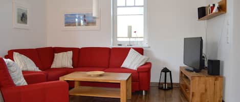 Télévision, cheminée, lecteur de DVD, table de tennis de table