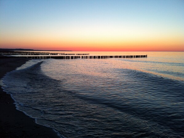 Playa en los alrededores y camastros 