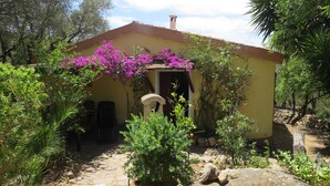 A rustic building with a yellow facade, a stone archway entrance, and vibrant purple bougainvillea flowers.