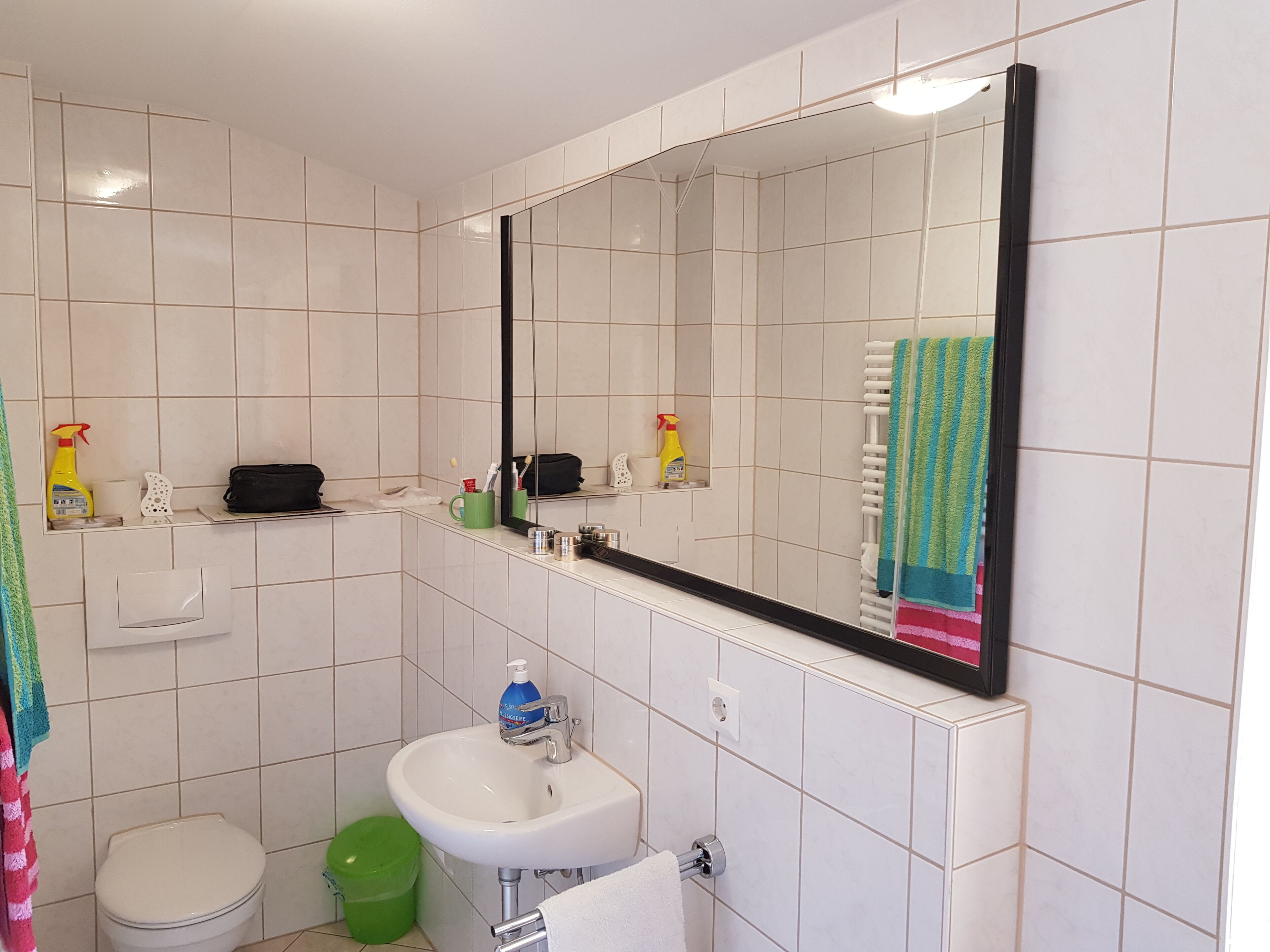Un bagno con lavandino bianco, specchio e water. Sul mobile ci sono articoli da toilette, un cestino verde e un portasciugamani con un asciugamano.