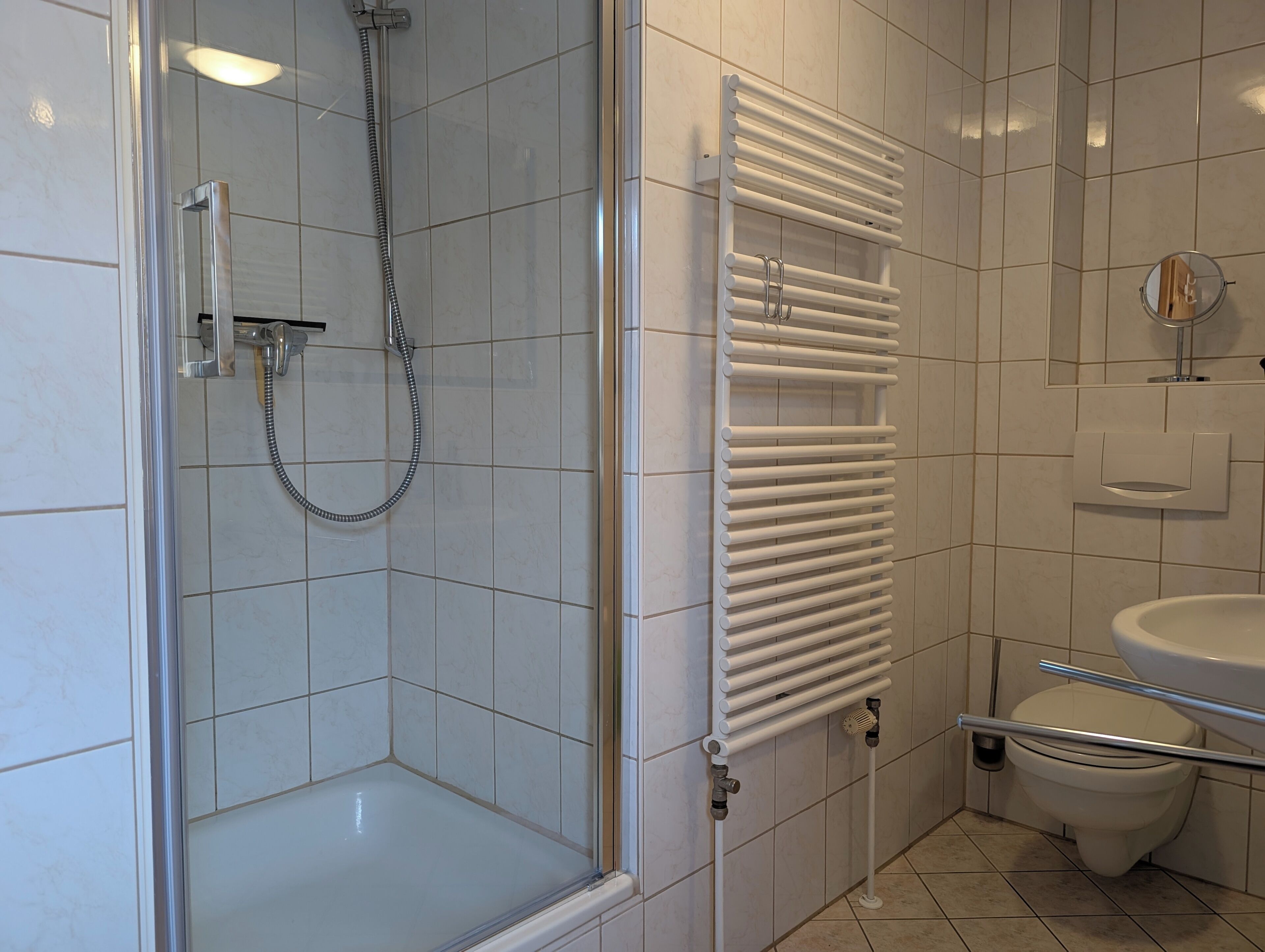 A bathroom with a glass-enclosed shower, a white towel radiator, a toilet, and a sink.