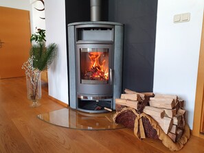 Ein moderner Holzofen mit Glasscheibe, Holzboden, ein Blumentopf und ein Holzstapel.