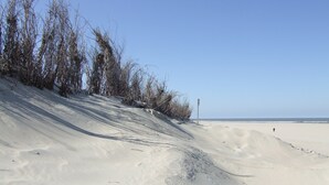 A sandy beach with a clear sky, a person walking, and sparse vegetation. - Comfortable 4-star roof terrace apartment, quiet and central, 4 adults + 1 baby (Rostock)