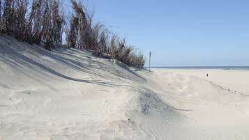Beach nearby, sun loungers