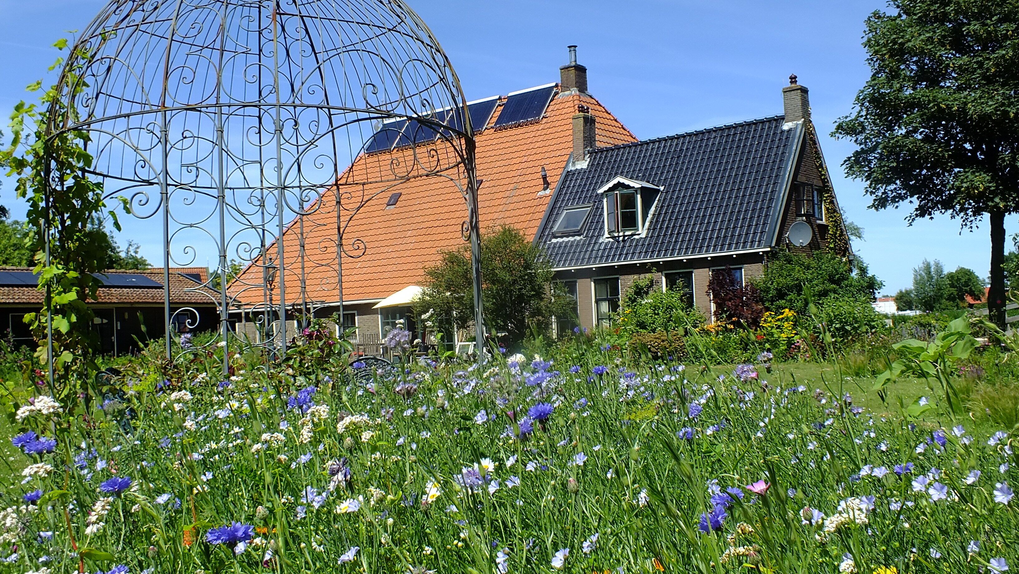 Una casa con techo inclinado, paneles solares y un jardín con diversas flores.