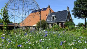 Et hus med skråt tag, solpaneler og en have med forskellige blomster.